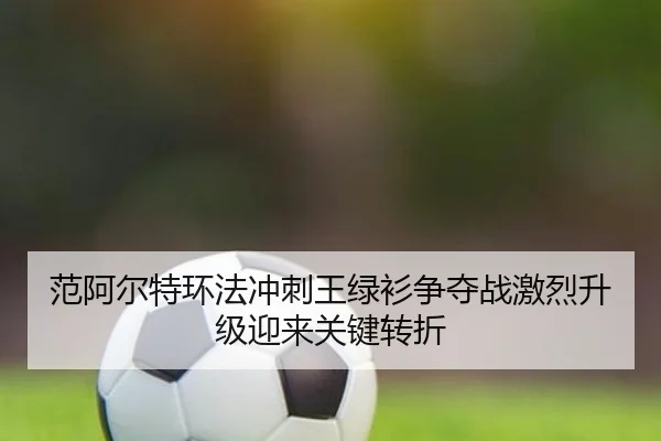 fan-a-er-te-huan-fa-chong-ci-wang-lv-shan-zheng-duo-zhan-ji-lie-sheng-ji-ying-lai-guan-jian-zhuan-zhe-2-592.jpg